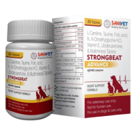 Strongbeat