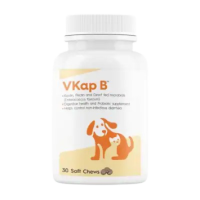 VKap B