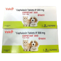 Cepstar