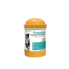 Frowlich