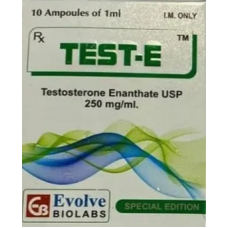 TEST-E