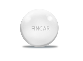 FINCAR