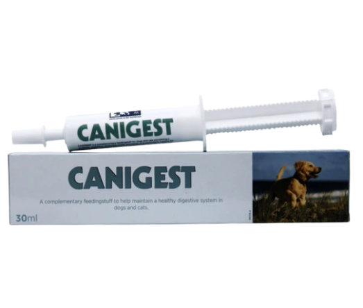 Canigest