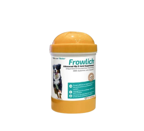 Frowlich
